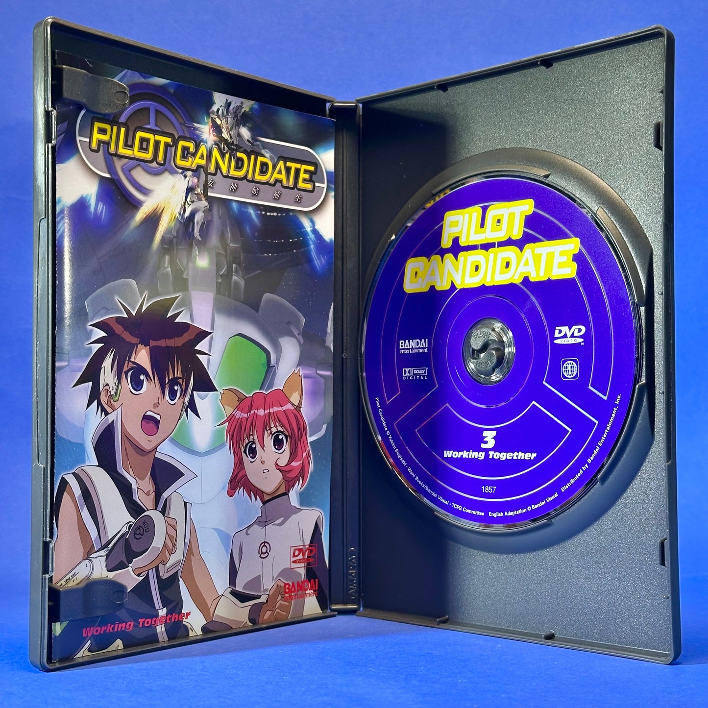 Pilot Candidate DVD