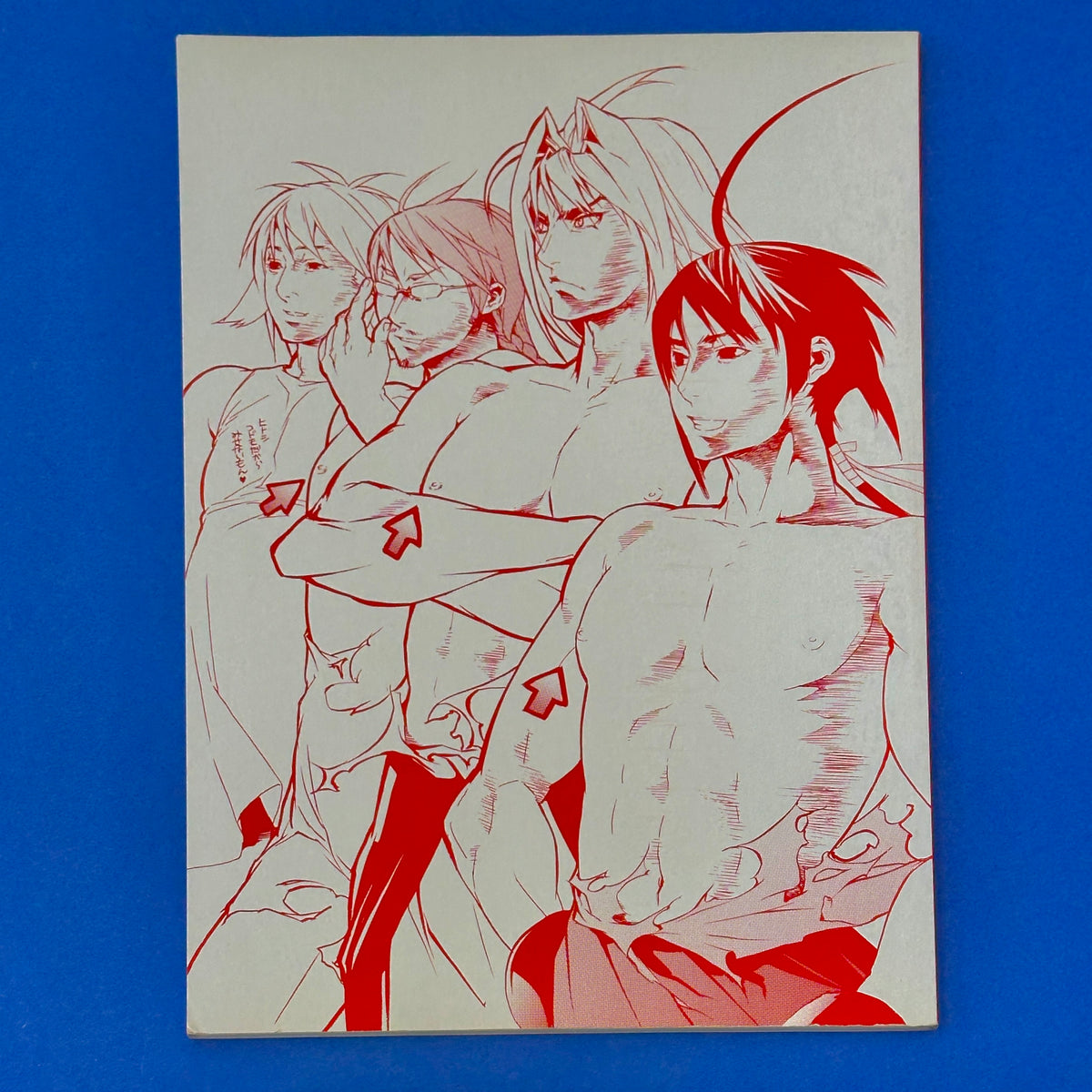 Sekirei TV Animation Official Fanbook: Allurement