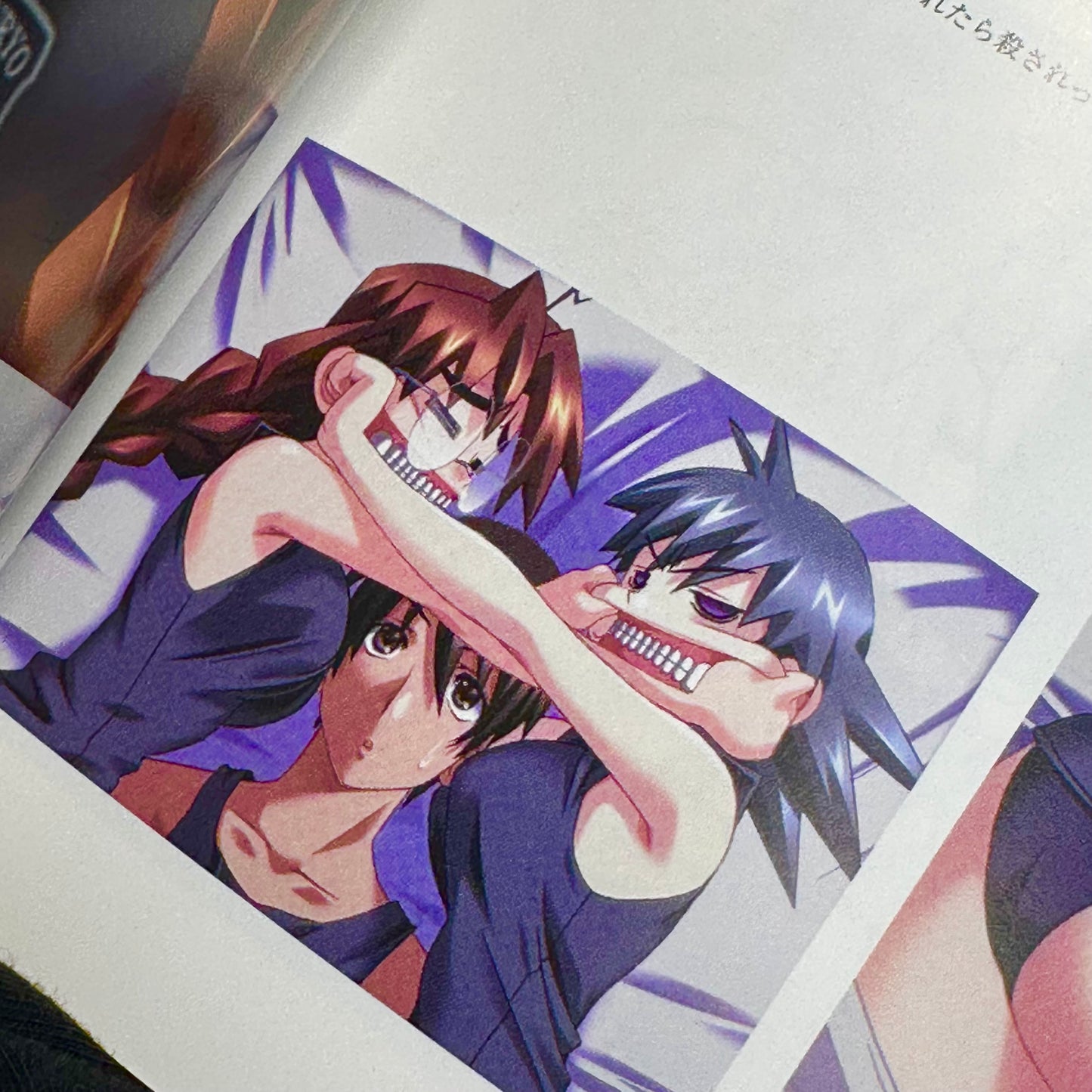 Muv-Luv Memorial Art Book