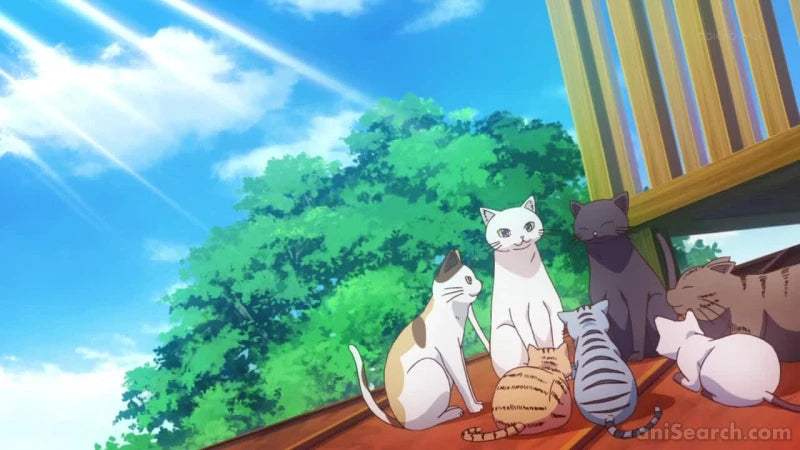The Pet Girl of Sakurasou - Blu-ray