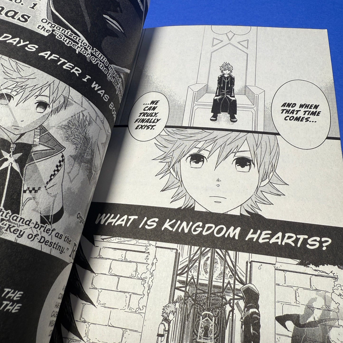Shiro Amano - Kingdom Hearts 358/2 Days Manga