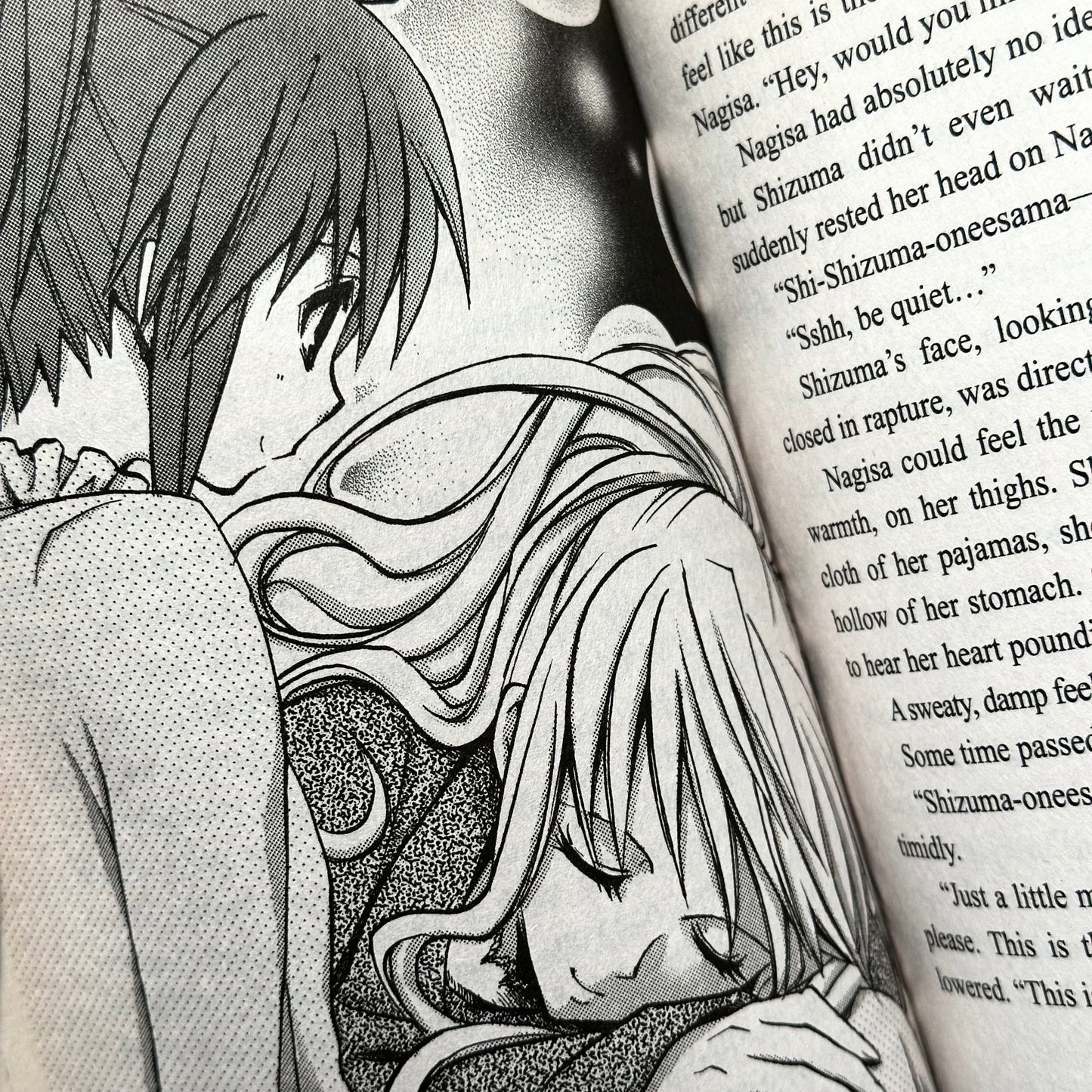 Sakurako Kimino - Strawberry Panic Light Novel