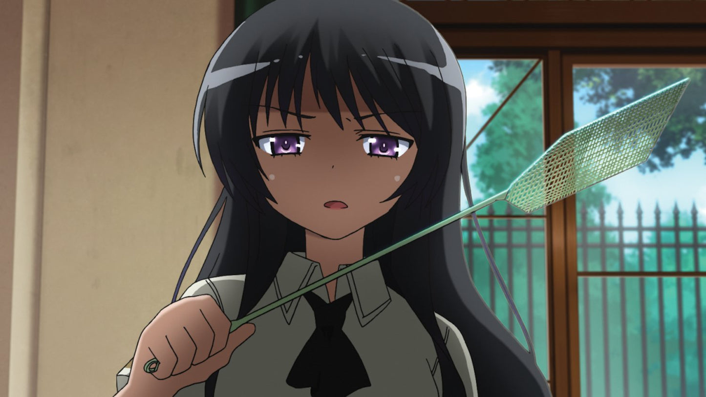 Haganai: I Don't Have Many Friends - Blu-ray & DVD