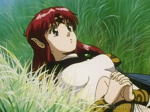 The Irresponsible Captain Tylor (OVA) DVD
