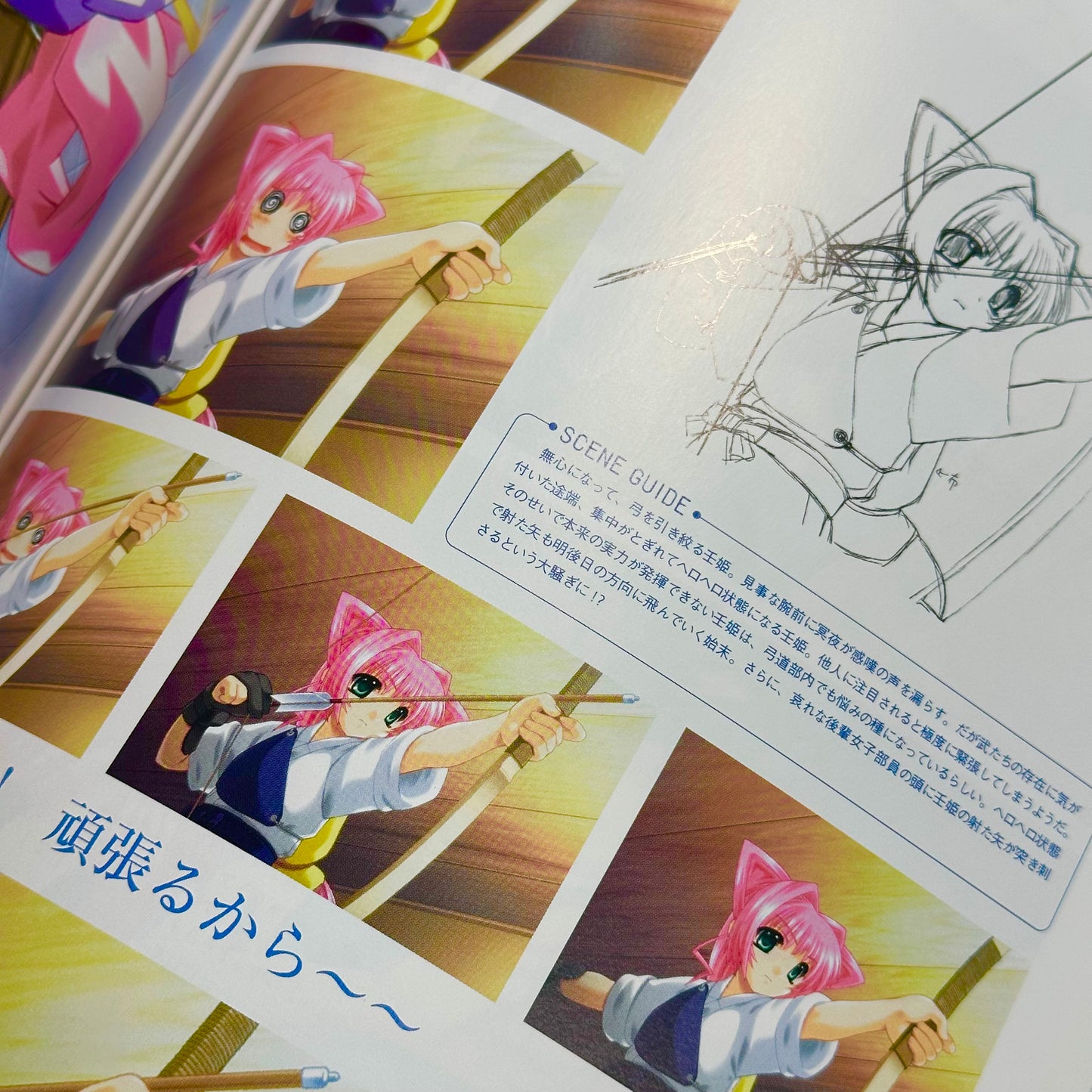 Muv-Luv Memorial Art Book
