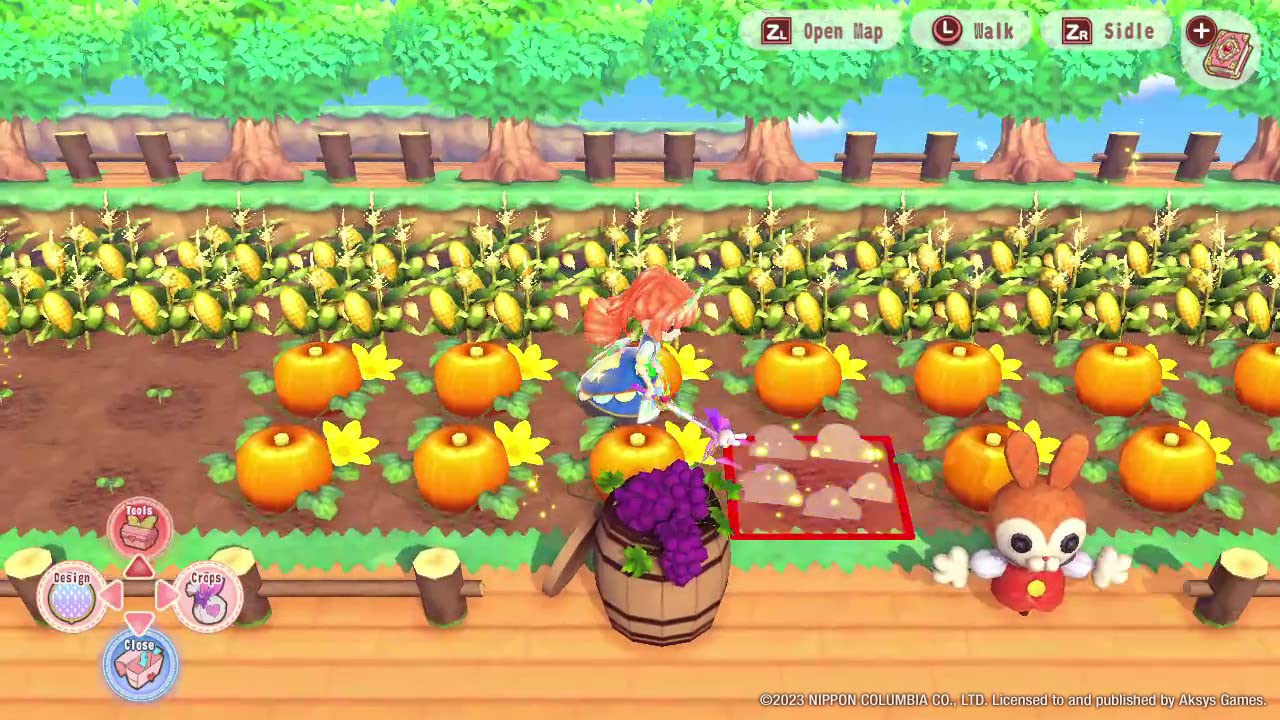 Pretty Princess Magical Garden - Nintendo Switch