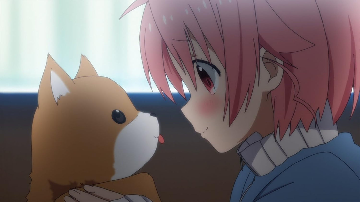 School Live! - Blu-ray & DVD