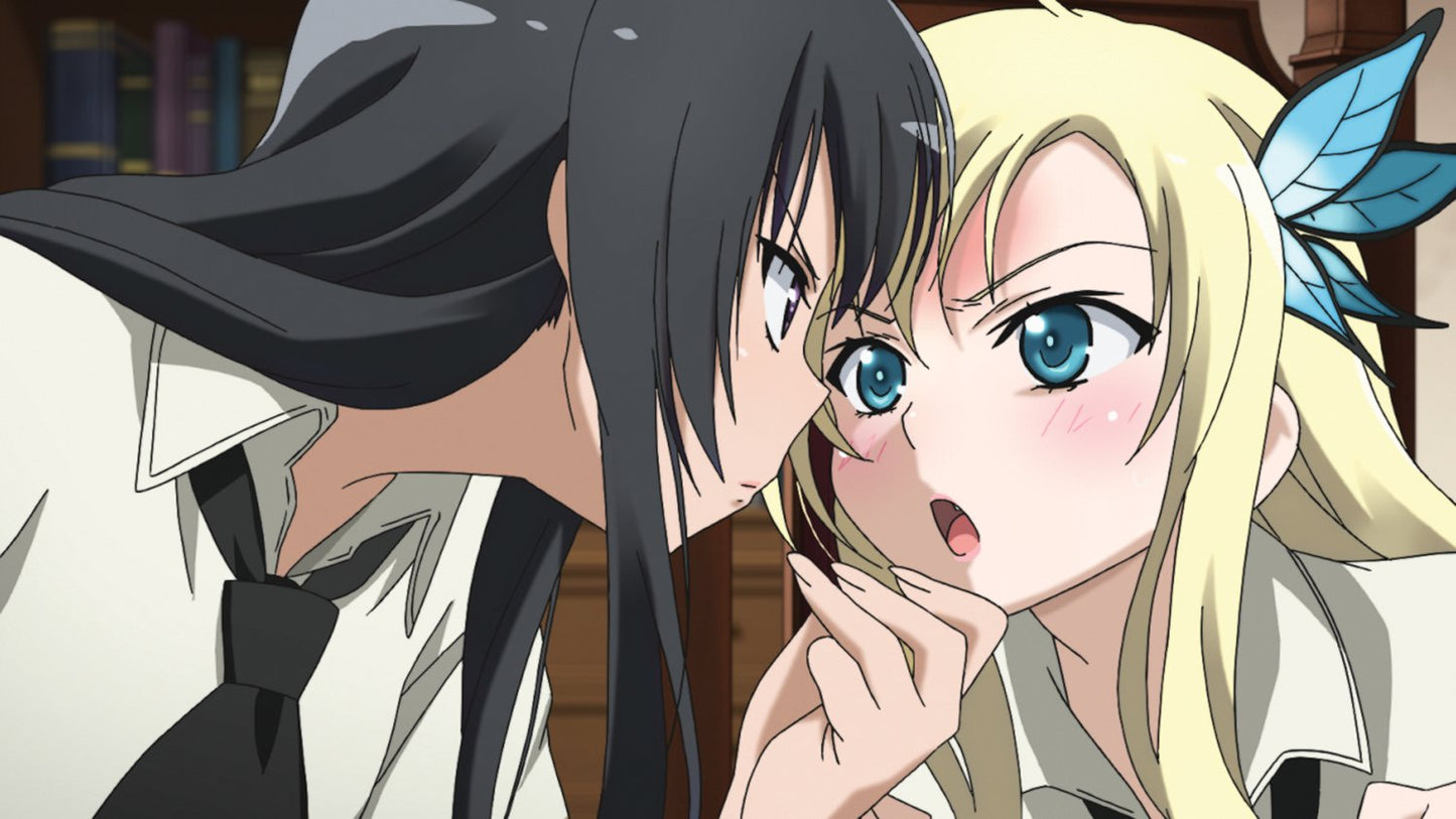 Haganai: I Don't Have Many Friends - Blu-ray & DVD