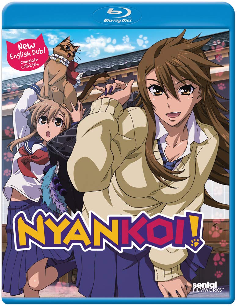 Nyankoi! Blu-ray & DVD