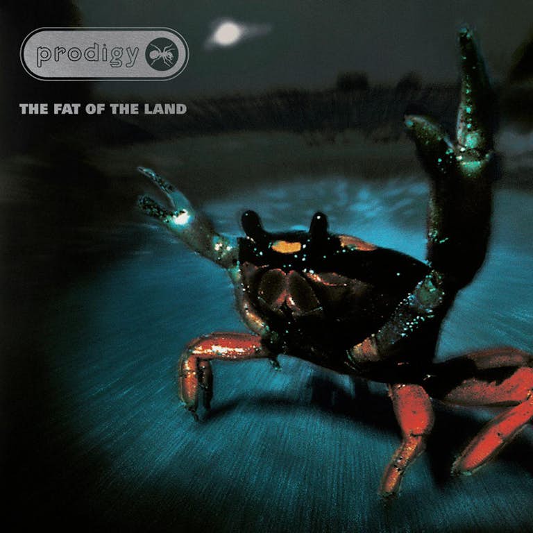 The Prodigy - The Fat of the Land 25th Anniversary Edition Vinyl Record
