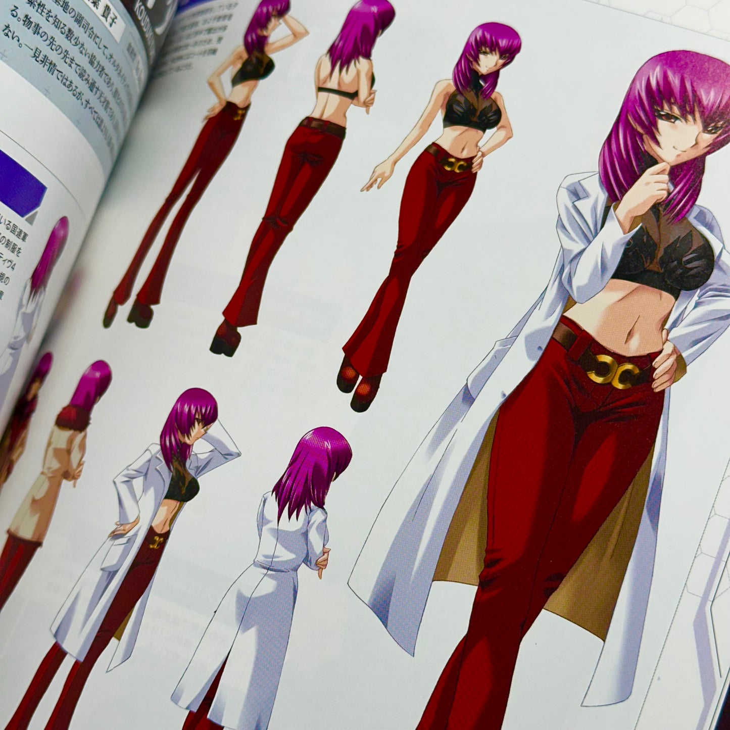 Muv-Luv Alternative Memorial Art Book
