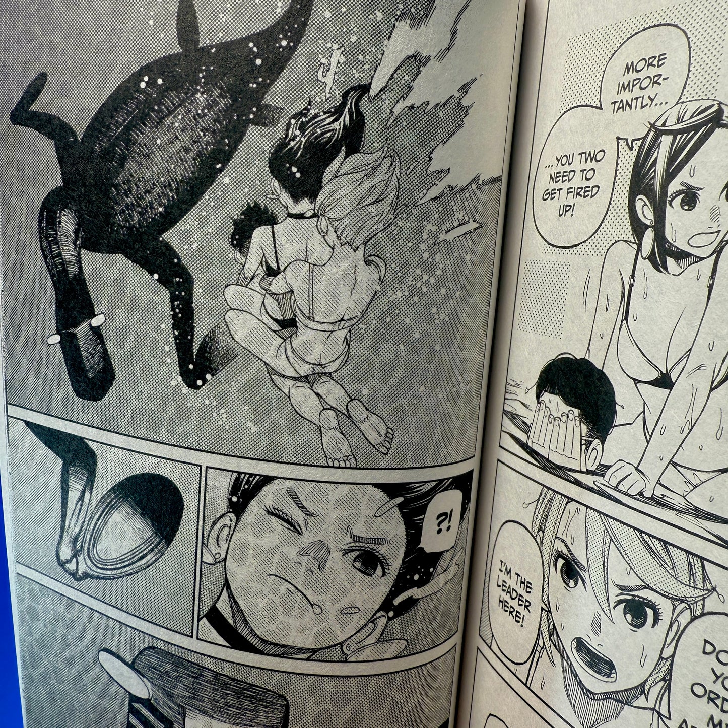 Yukinobu Tatsu - Dan Da Dan Manga