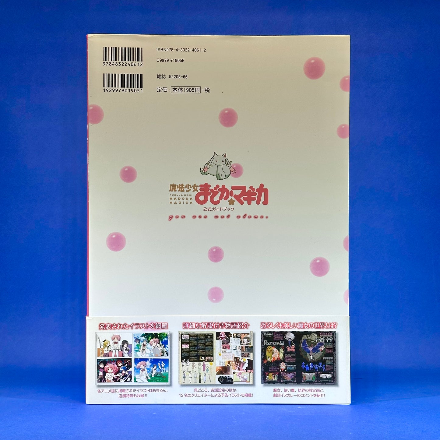Puella Magi Madoka Magica ~You Are Not Alone~ Official Guide Art Book