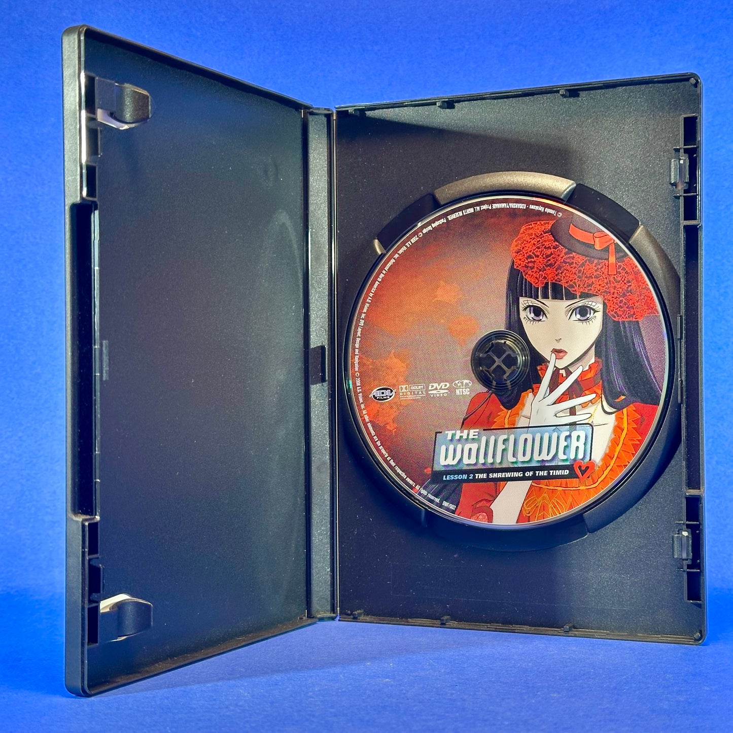 The Wallflower - DVD