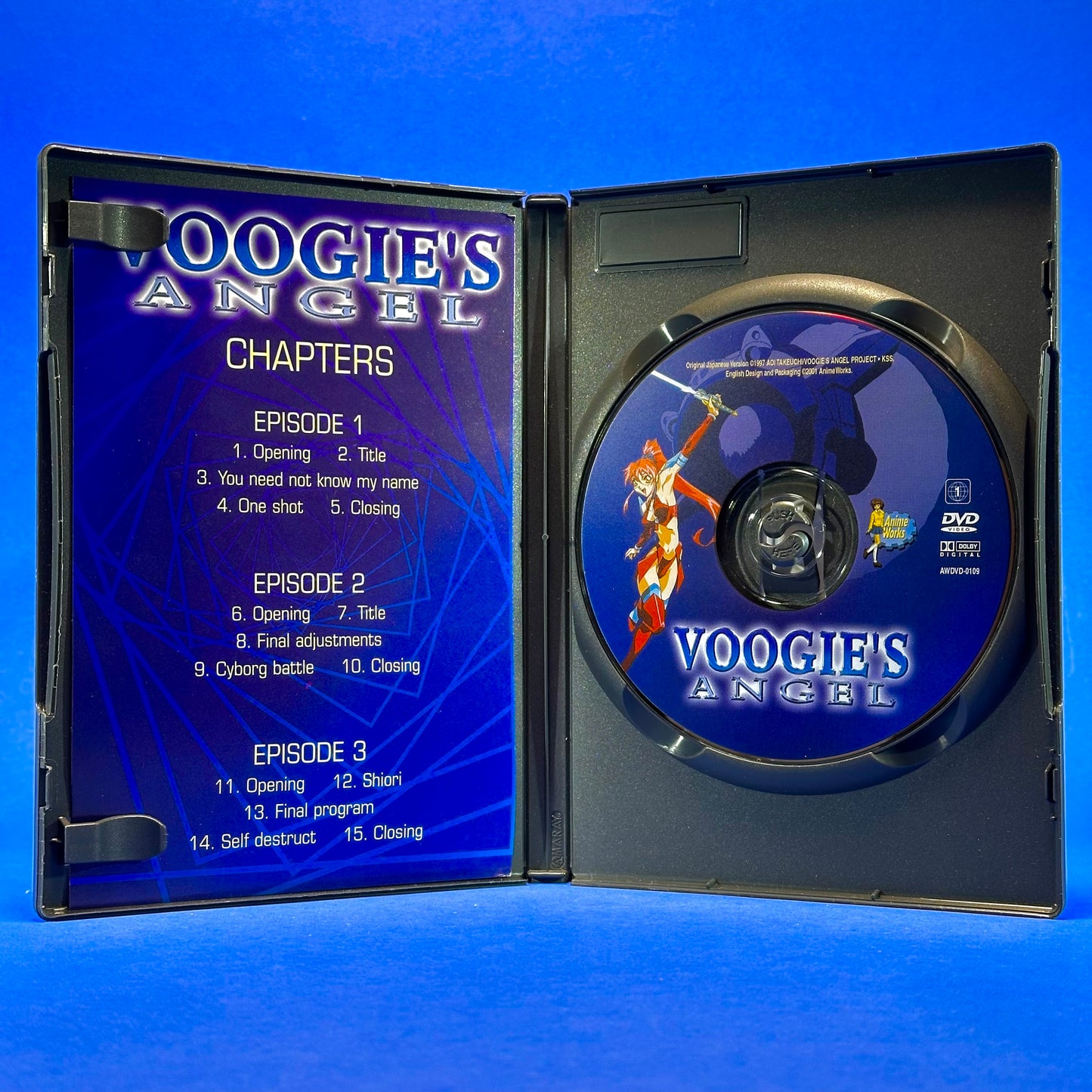 Voogie’s Angel DVD