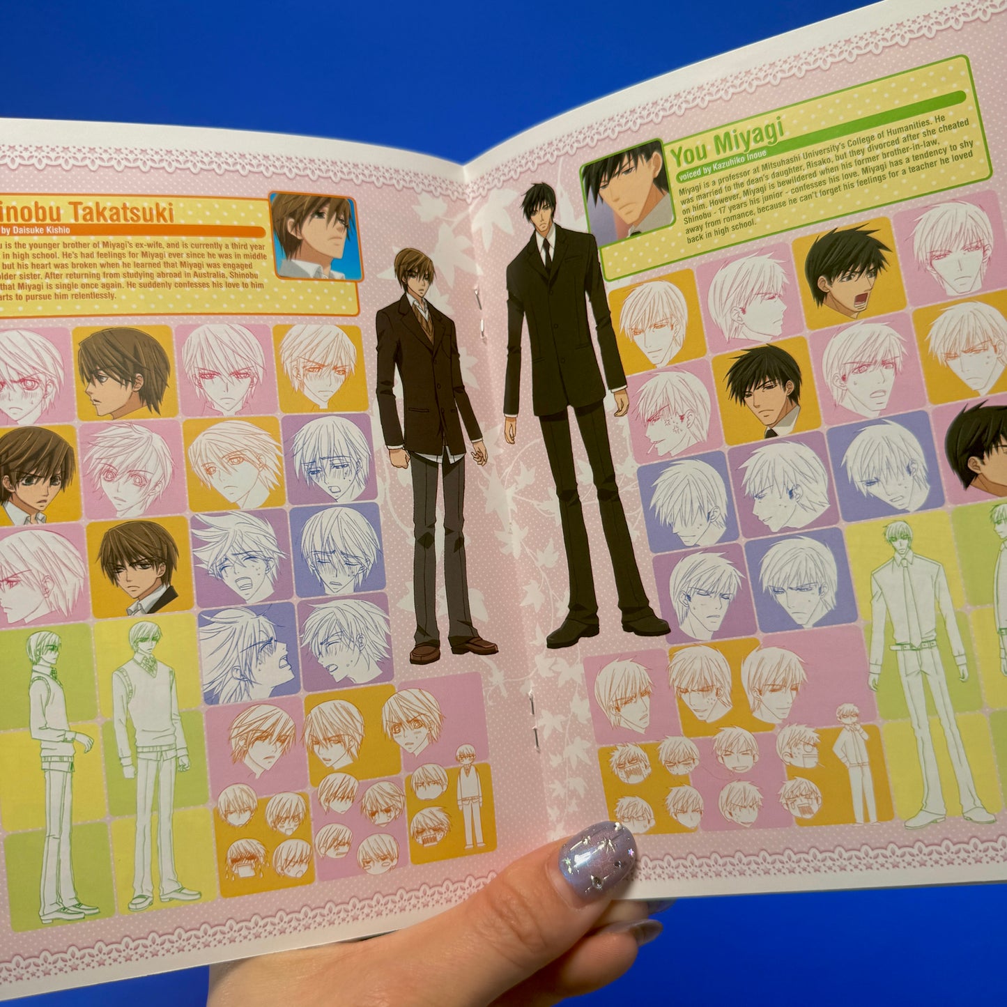 Junjo Romantica - Season One DVD
