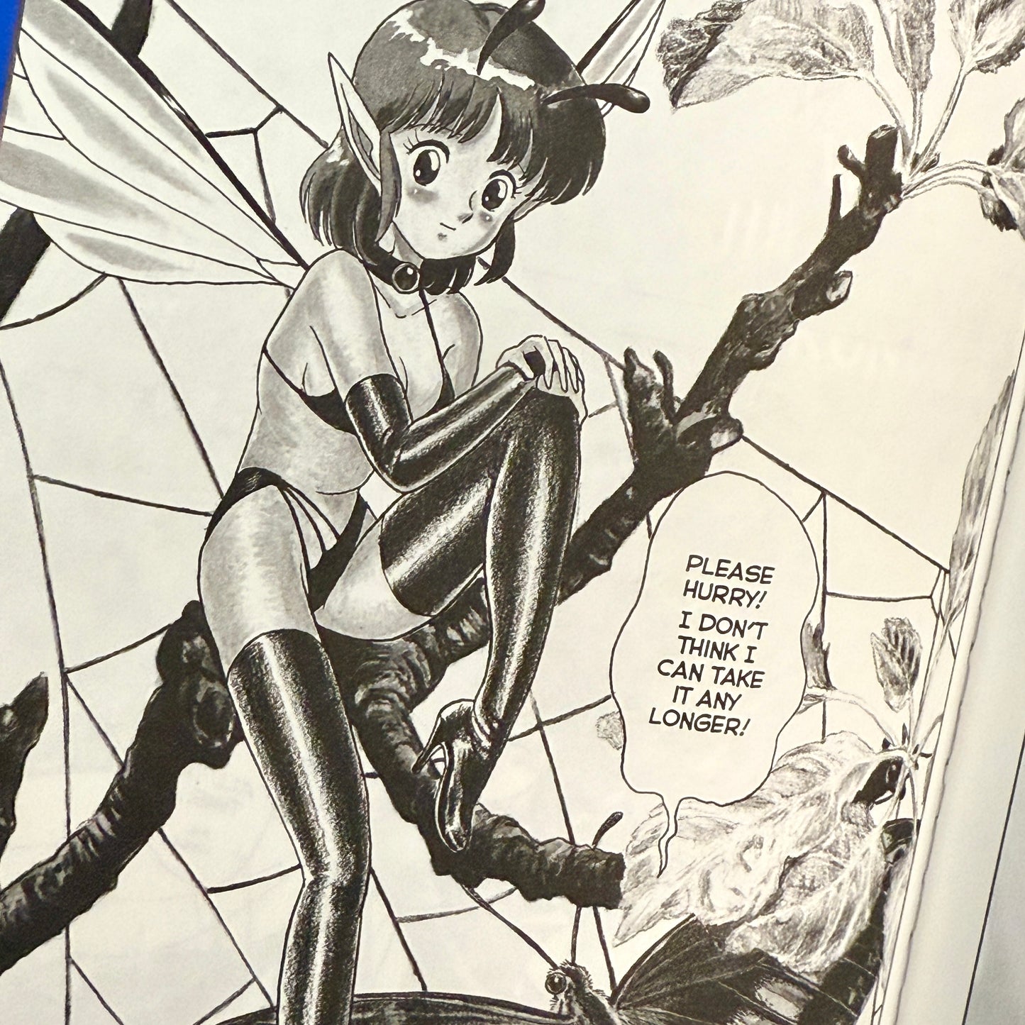 Kondom - The New Bondage Fairies ~Fairie Fetish~