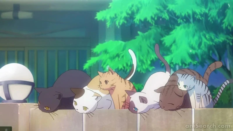 The Pet Girl of Sakurasou - Blu-ray