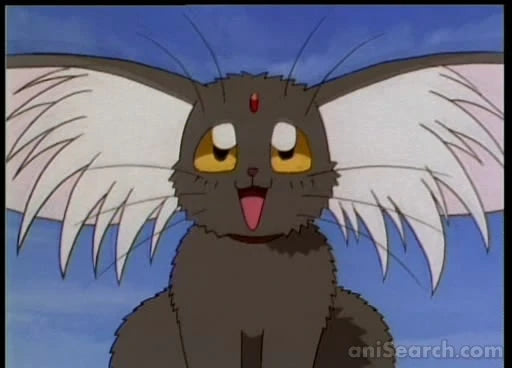 Tenchi in Tokyo DVD