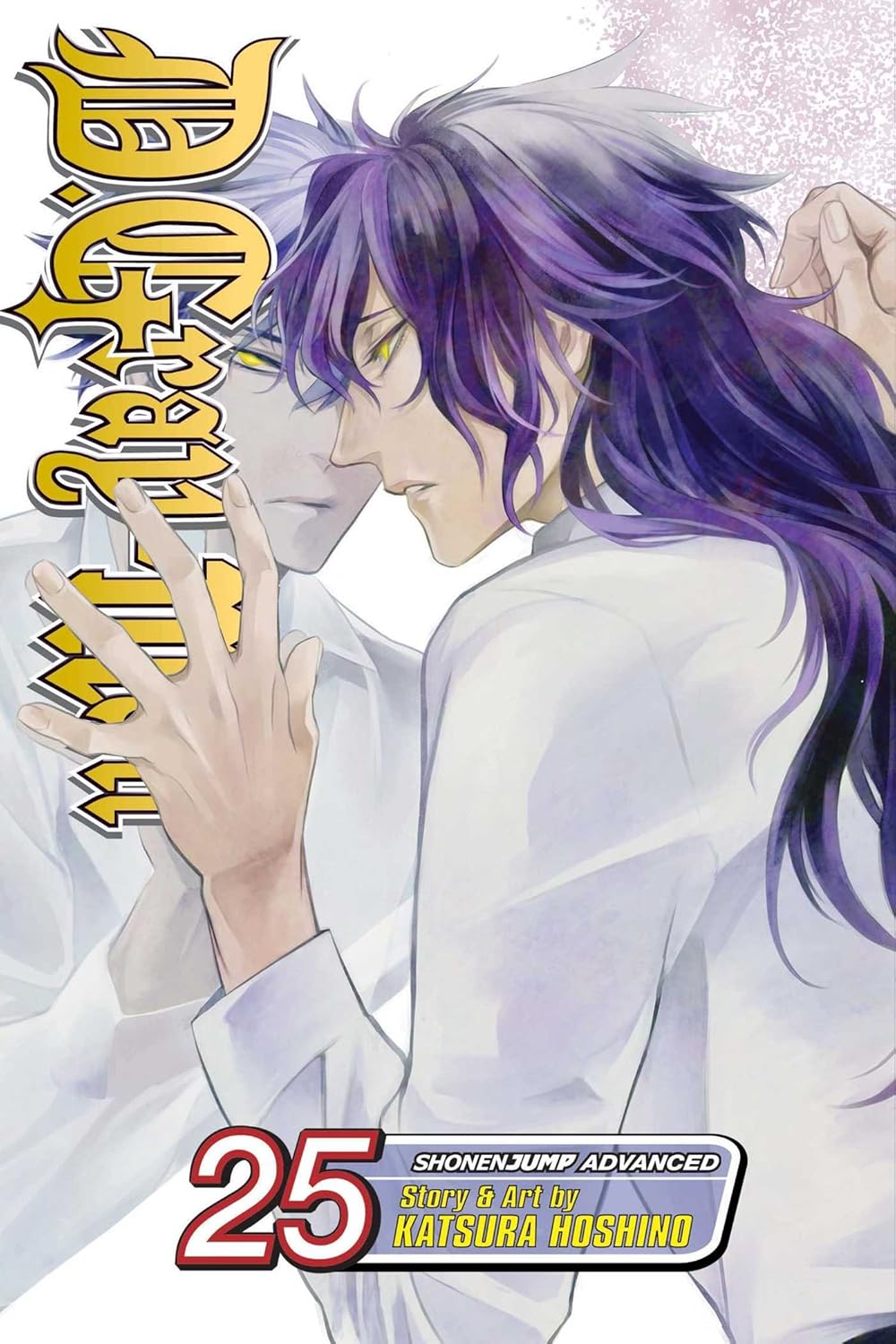 Katsura Hoshino - D. Grayman Manga