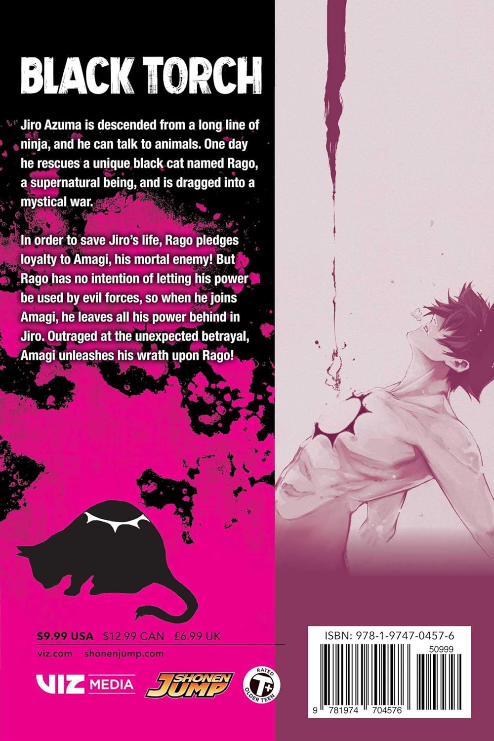 Tsuyoshi Takaki - Black Torch Manga