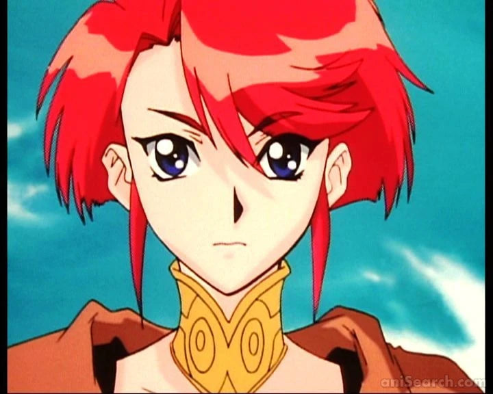 Record of Lodoss War: Chronicles of the Heroic Knight VHS