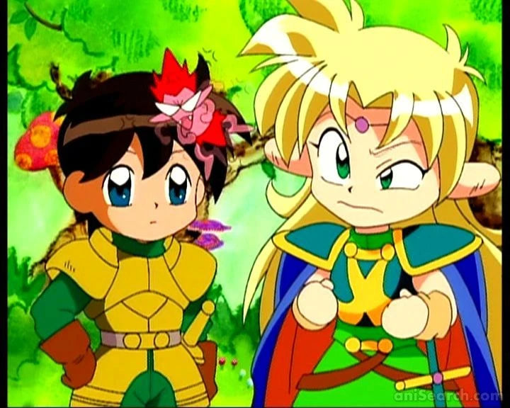 Record of Lodoss War: Chronicles of the Heroic Knight VHS