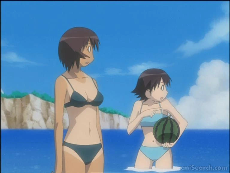Azumanga Daioh: The Animation - DVD