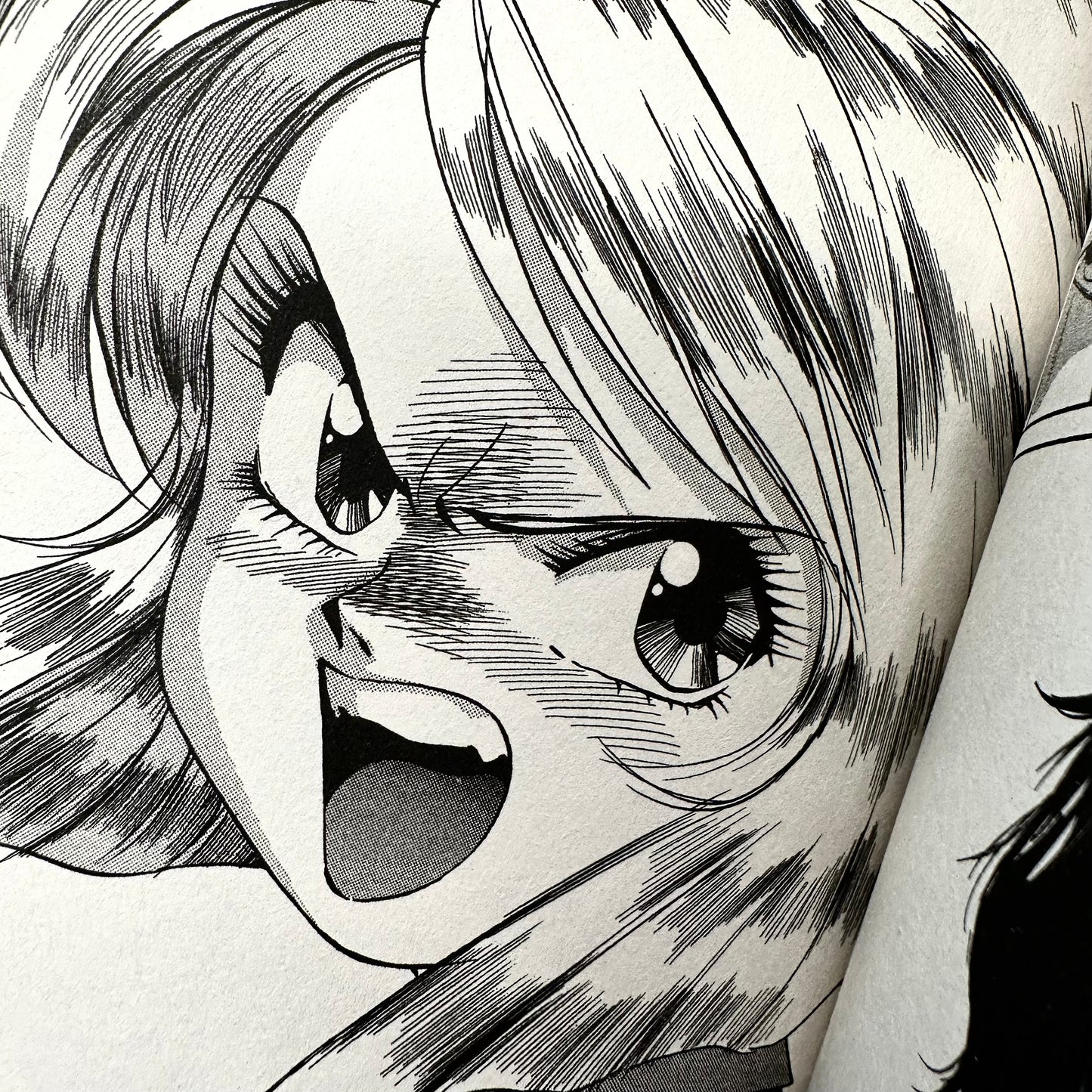 Kenichi Sonoda - Gunsmith Cats Revised Edition Manga