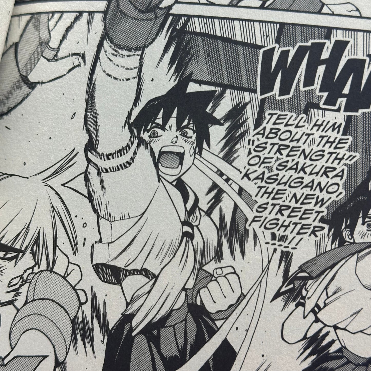 Masahiko Nakahira - Street Fighter: Sakura Ganbaru! Manga