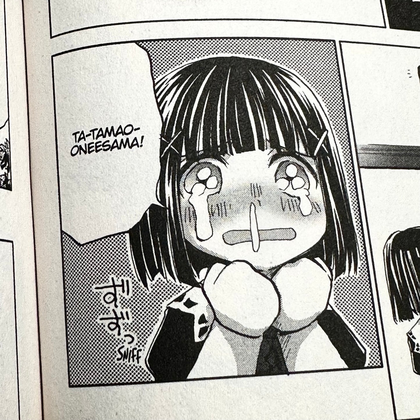 Sakurako Kimino - Strawberry Panic The Complete Collection Manga