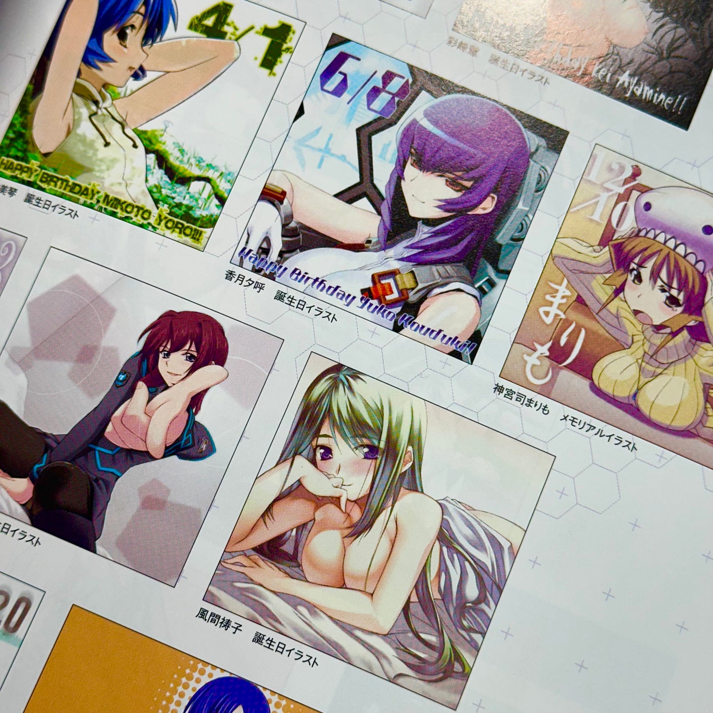 Muv-Luv Alternative Memorial Art Book