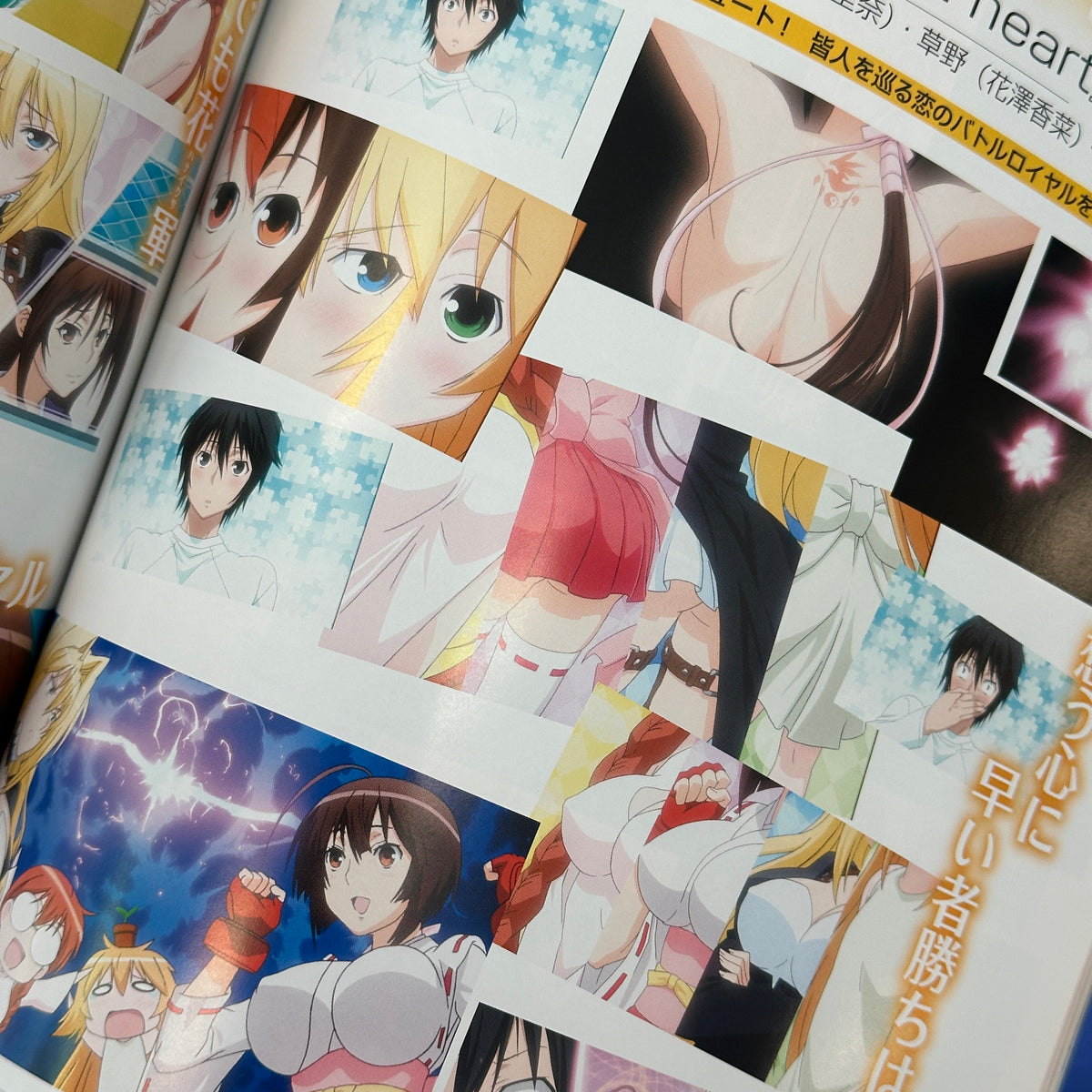 Sekirei TV Animation Official Fanbook: Allurement