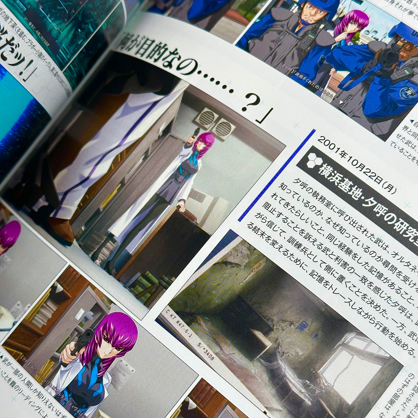 Muv-Luv Alternative Memorial Art Book