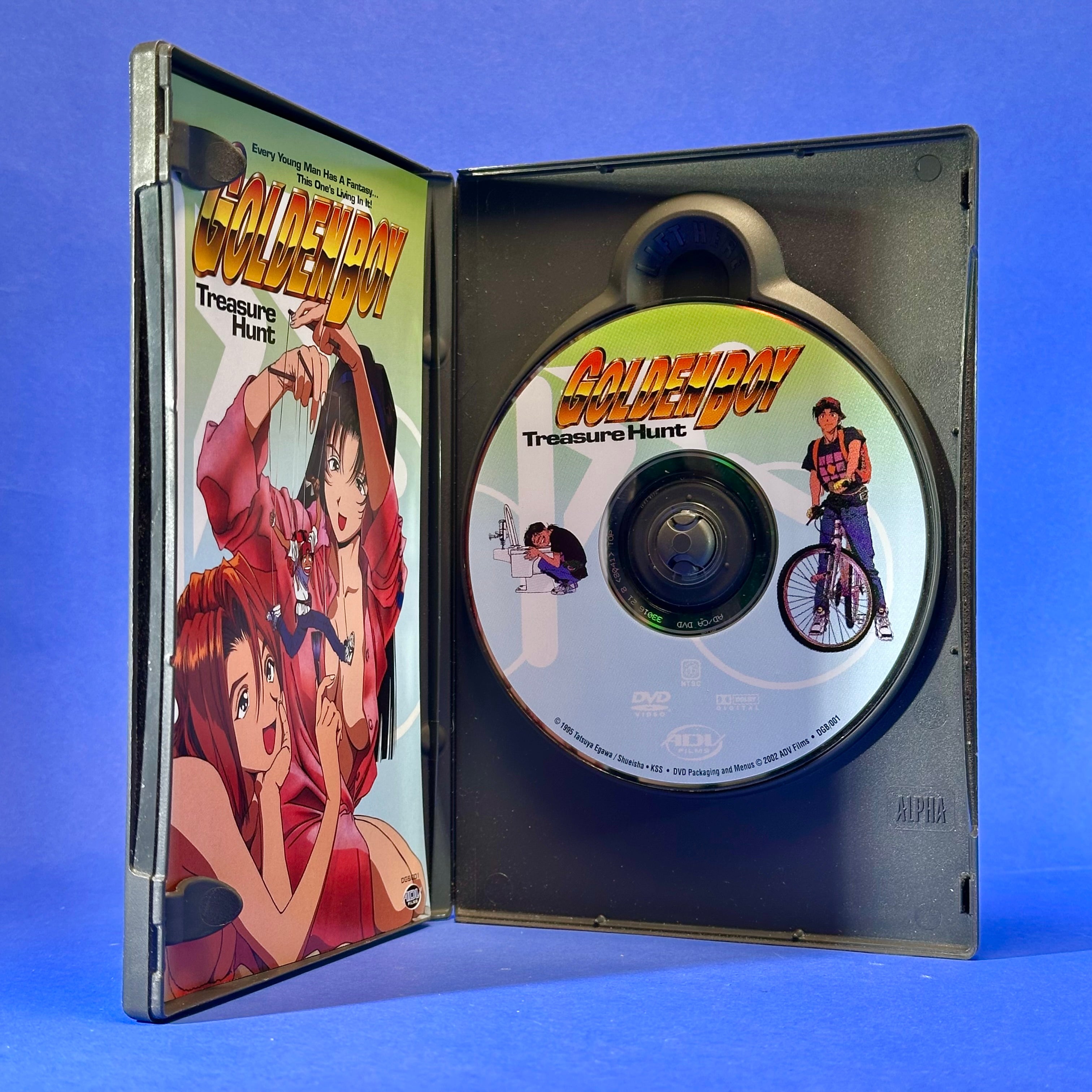 Golden Boy DVD – HiFi LoFi