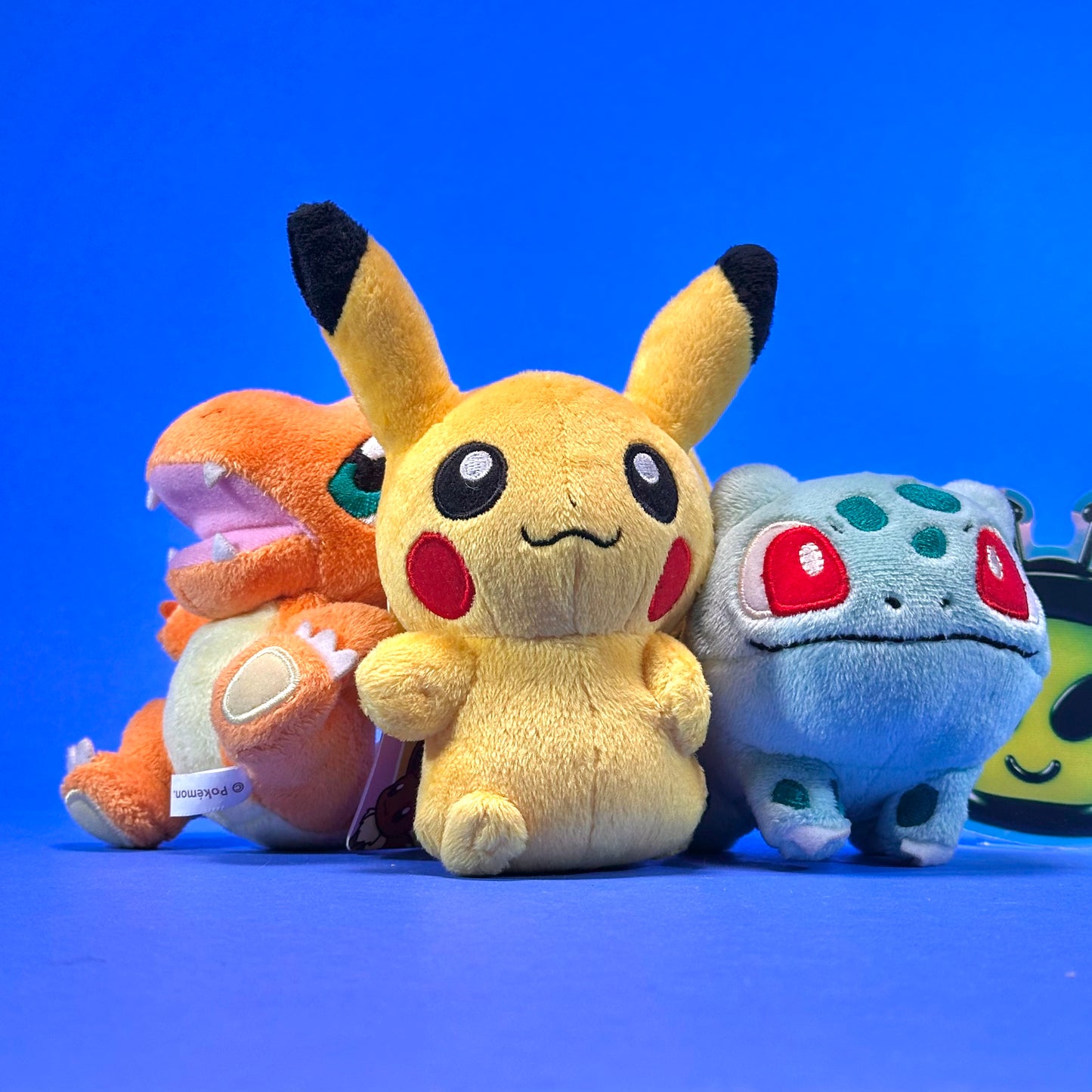 Pokemon Center - 2010 "Walk with Me Series" keychain