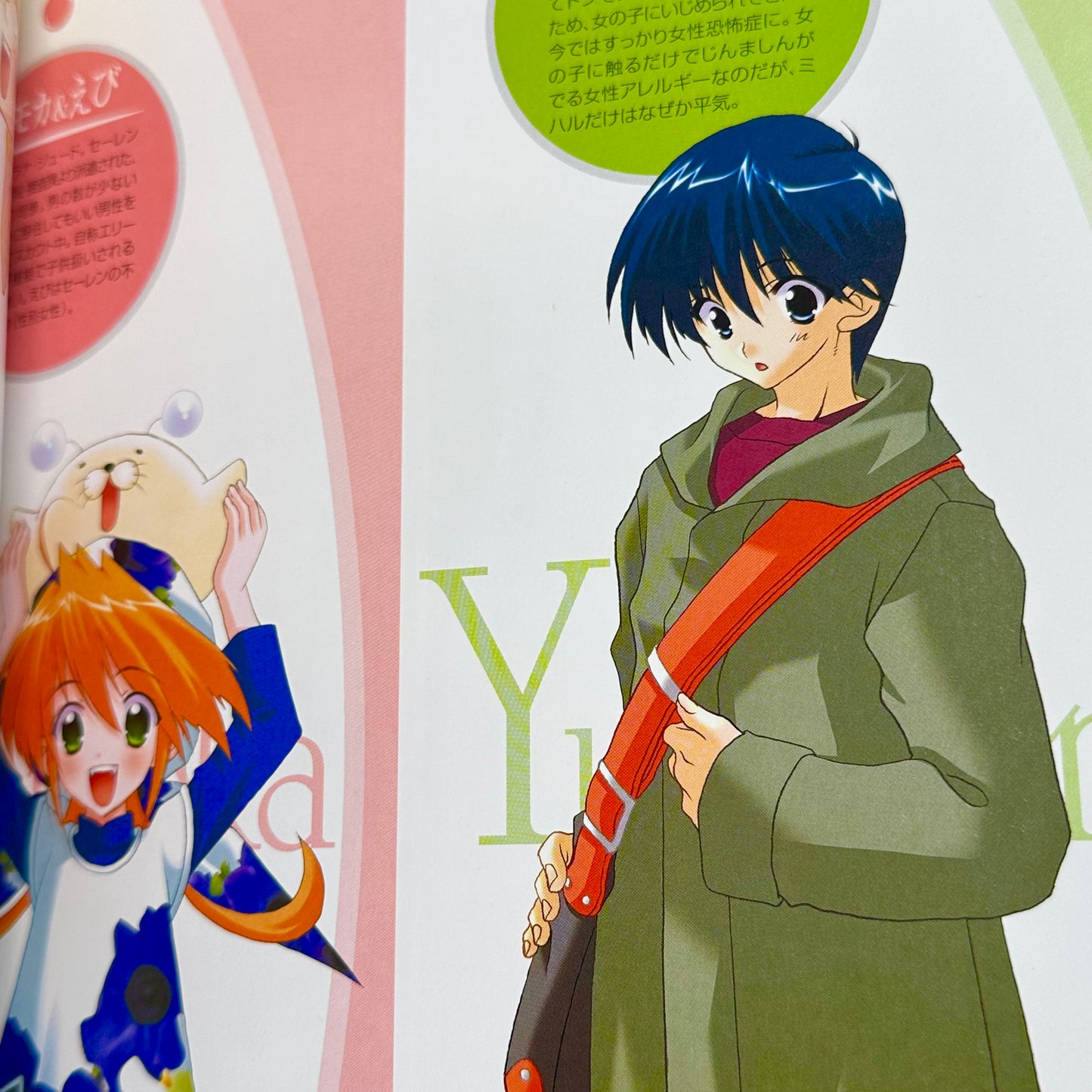 Mario Kaneda - Girls Bravo Illustrations - Art Book