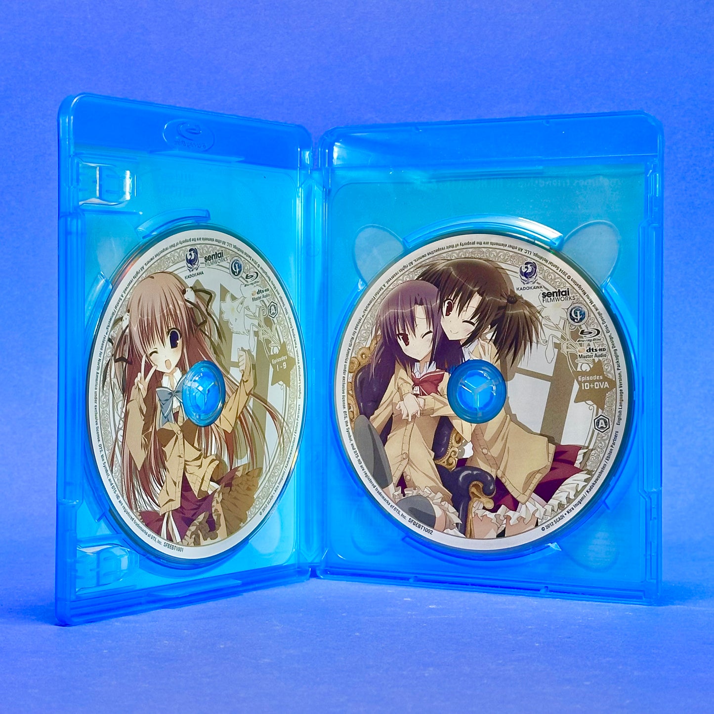 Ebiten: Ebisugawa Public High School’s Tenmonbu Blu-ray
