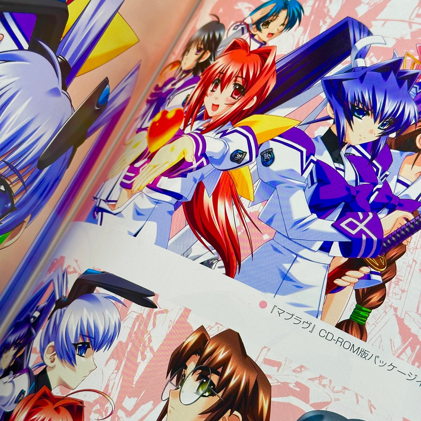 Muv-Luv Memorial Art Book