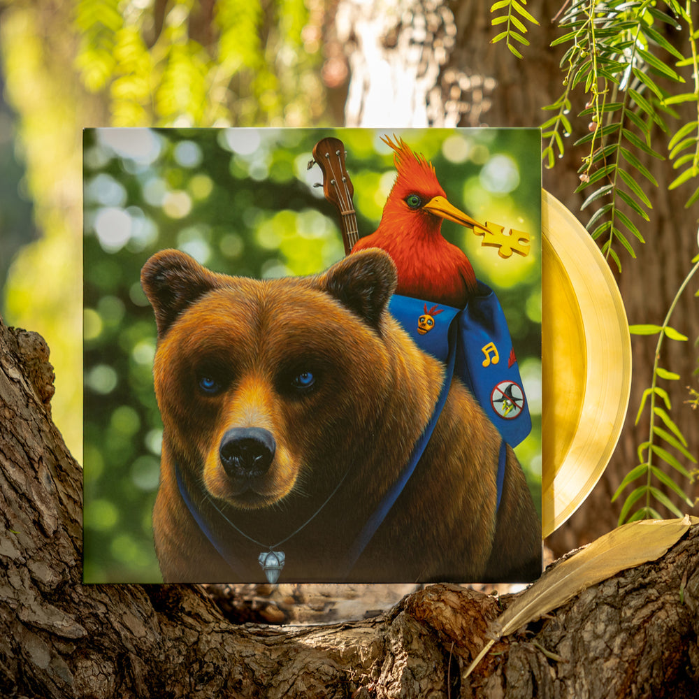 Banjo Kazooie - Vinyl Record Soundtrack