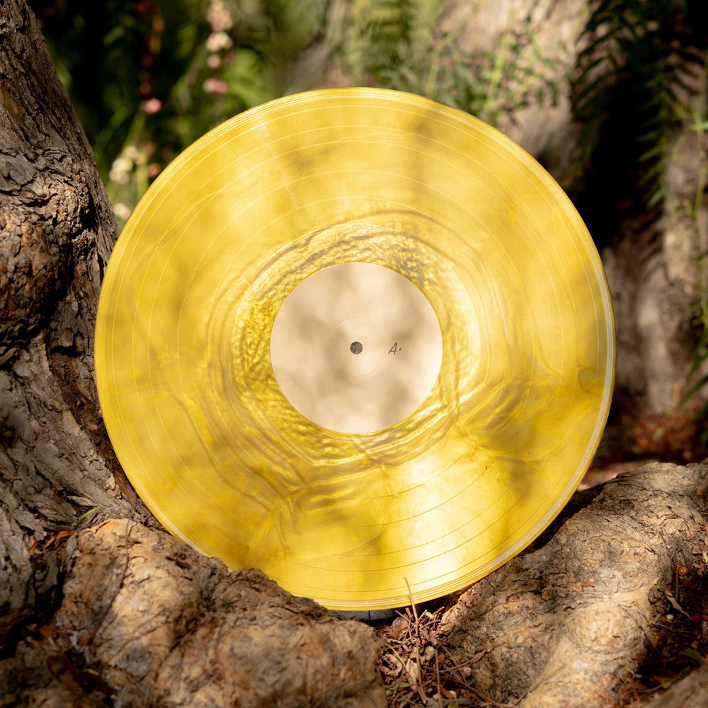 Banjo Kazooie - Vinyl Record Soundtrack