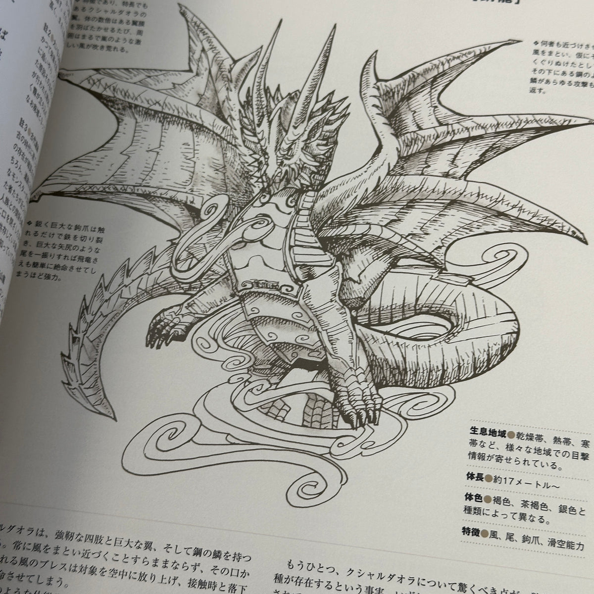 Capcom - Monster Hunter Hunter's Encyclopedia Reprinted Edition