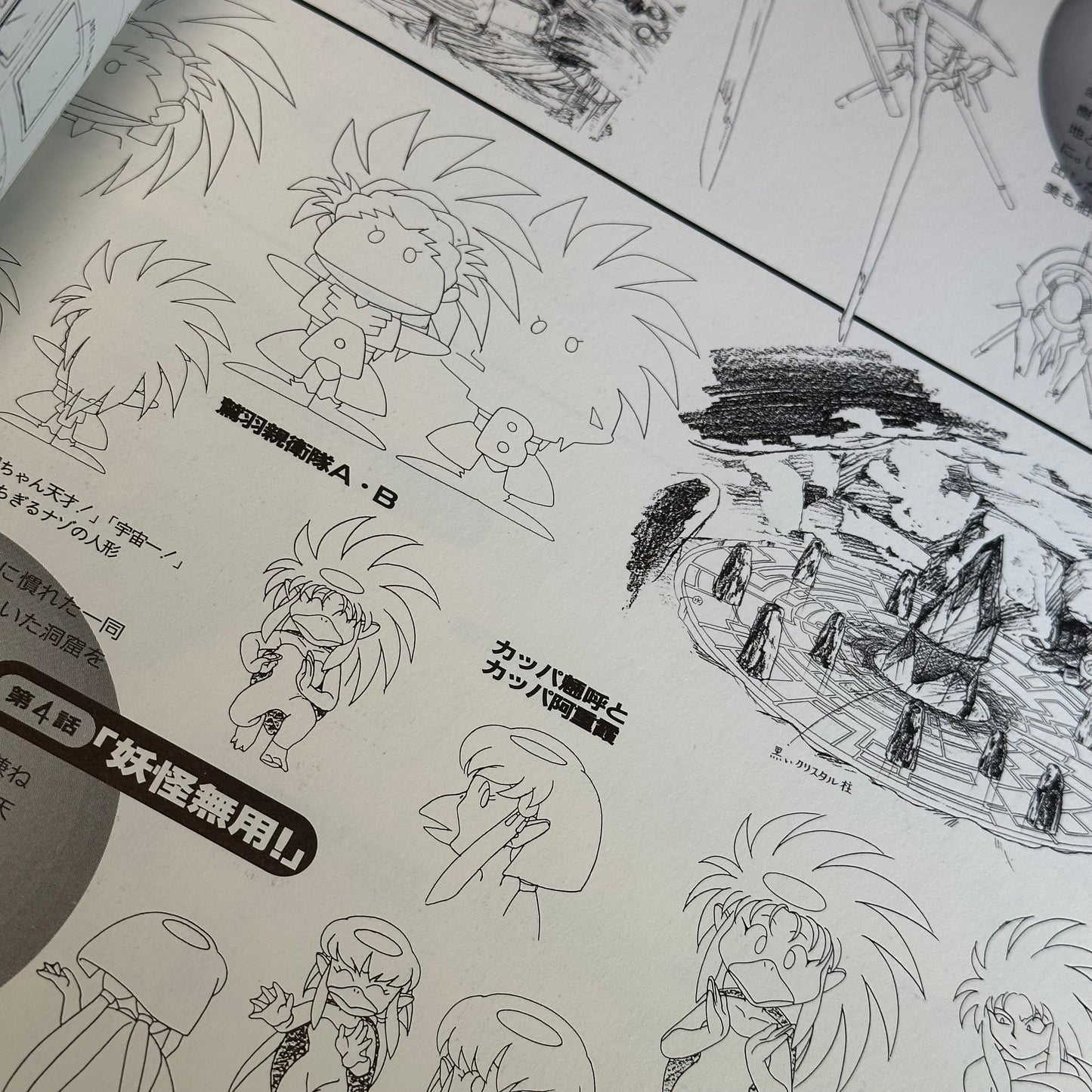 Tenchi Muyo! ~Earth-Hen~ Newtype 100% Collection Art Book