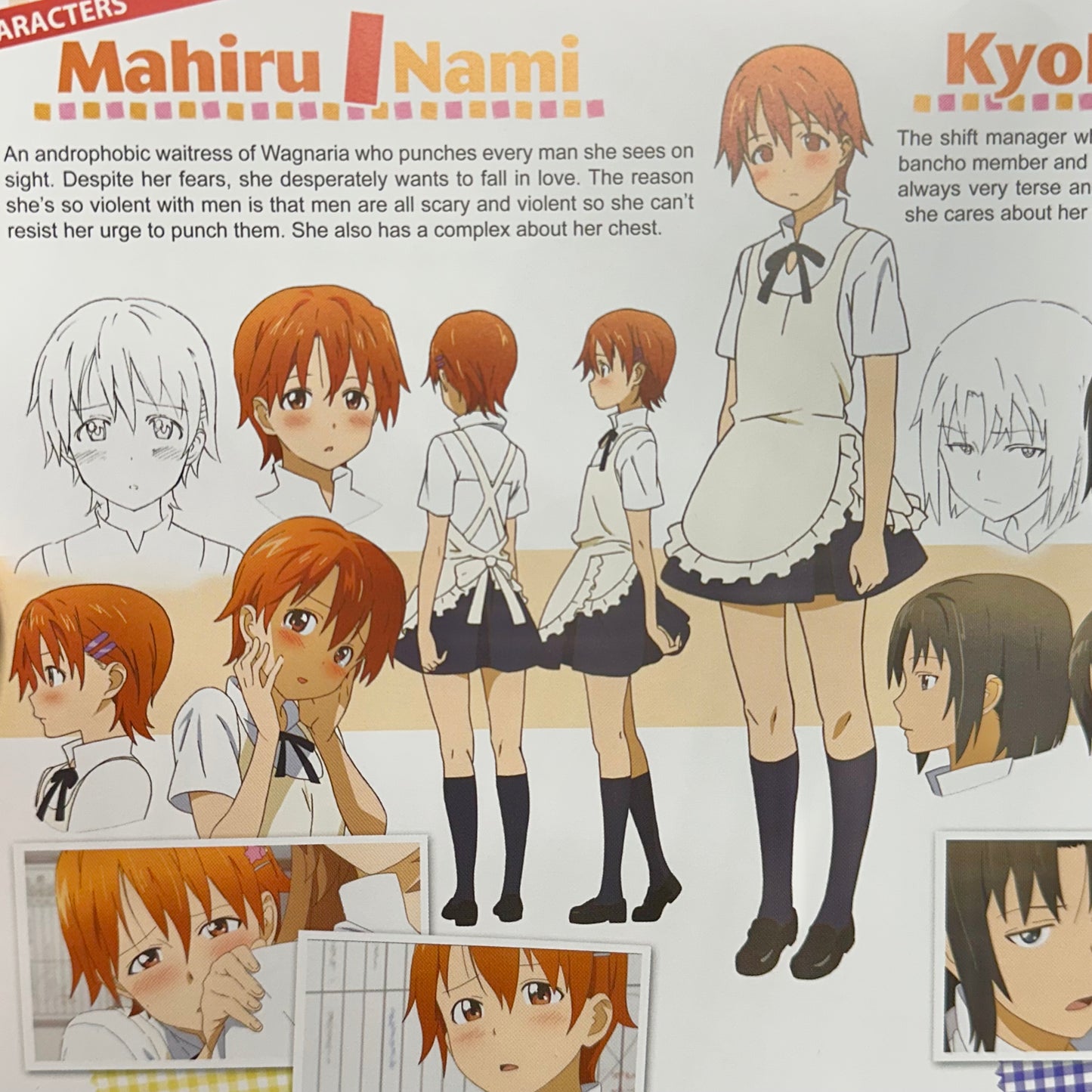 Wagnaria!! (Aka Working!!) - Blu-ray