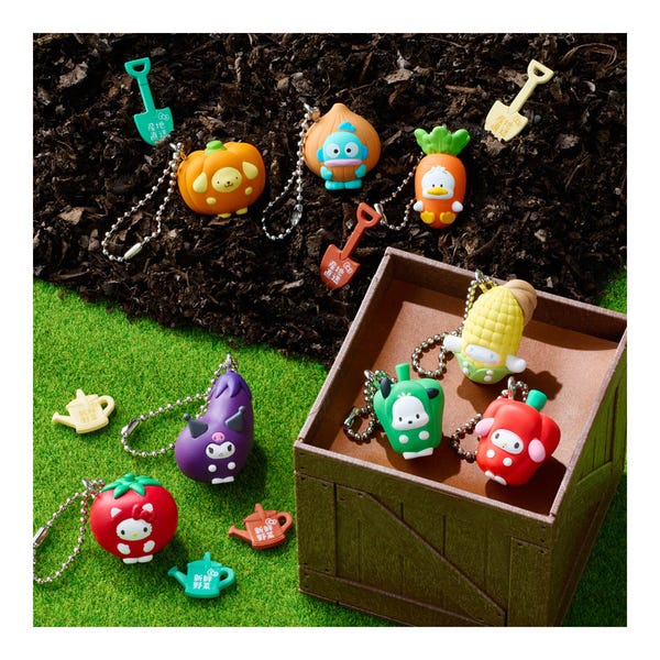 Bandai - Sanrio Hello Kitty and Friends ~Wave 3~ Shokugan Blind Box