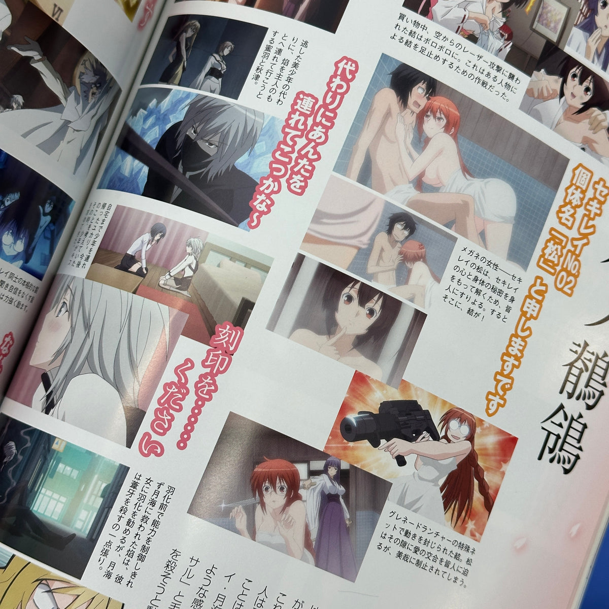 Sekirei TV Animation Official Fanbook: Allurement