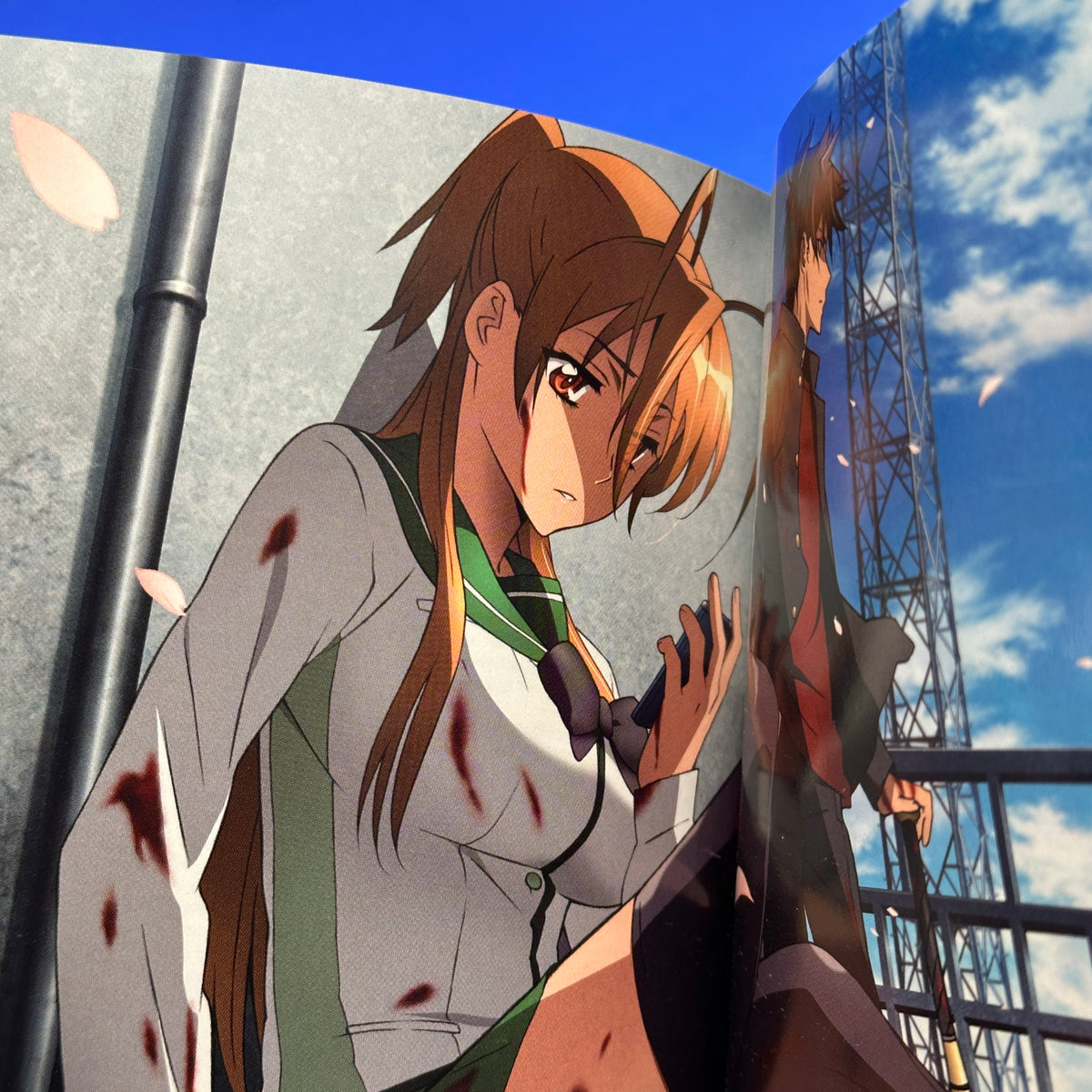 High School of the Dead - Blu-Ray & DVD