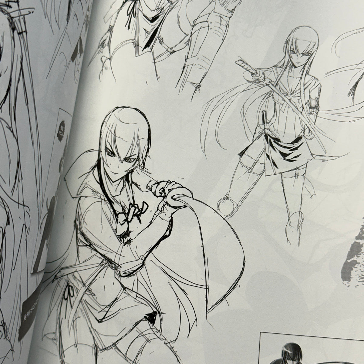 Shouji Sato Artworks - High School of the Dead: Lightning Pop β