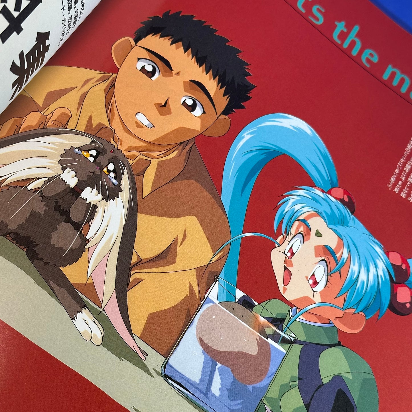 Tenchi Muyo! ~Earth-Hen~ Newtype 100% Collection Art Book