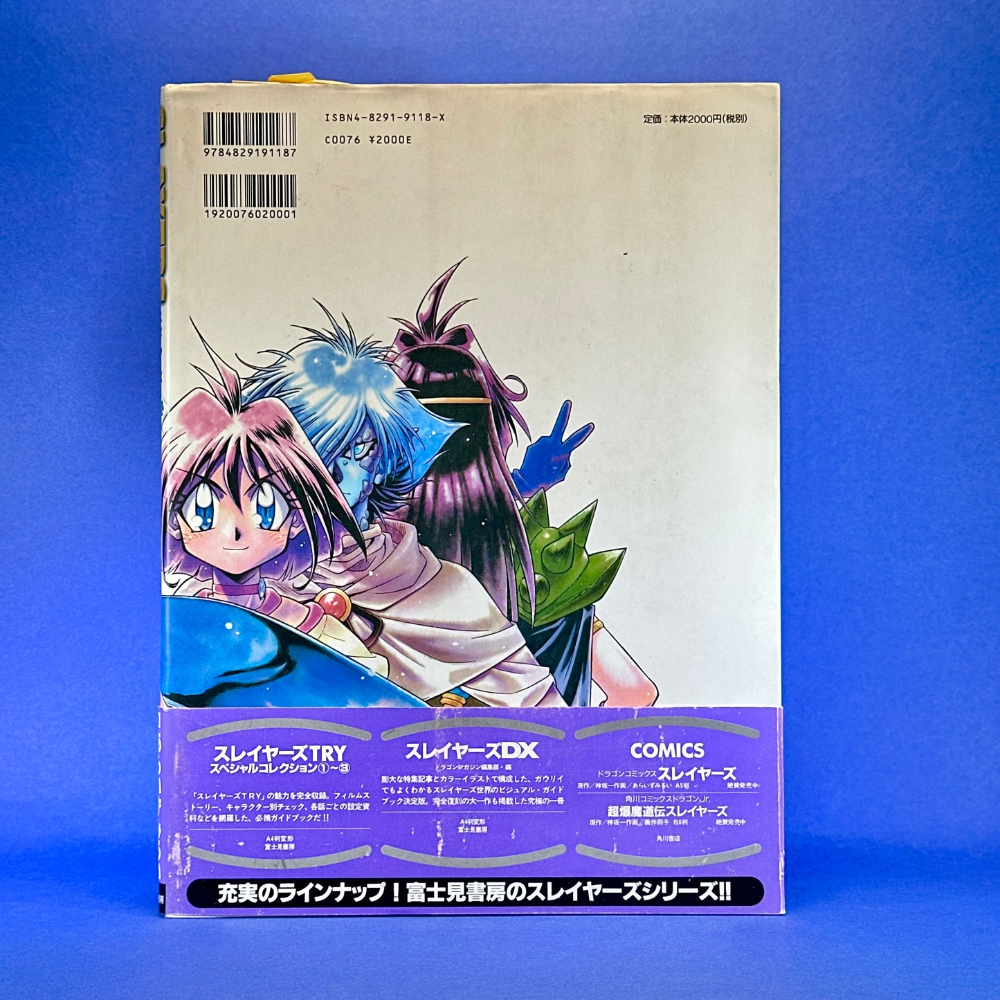 Slayers: Rui Araizumi Collection ~Dragon Magazine Special~ Art Book